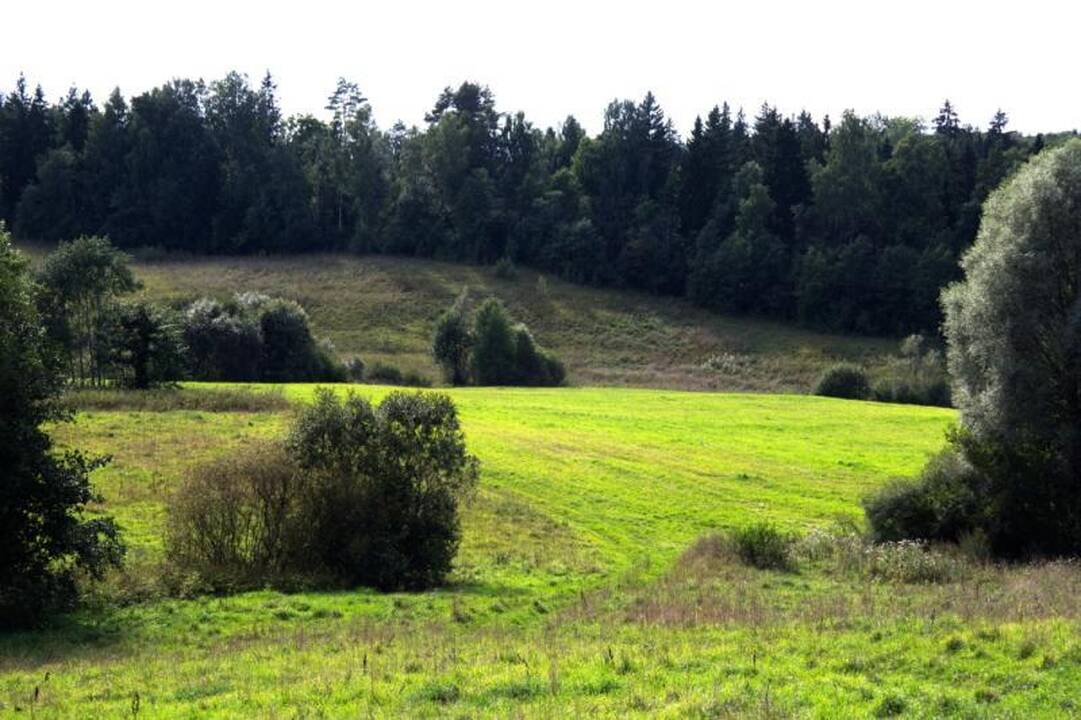 Kelionė miškinguoju Gražutės regioniniu parku