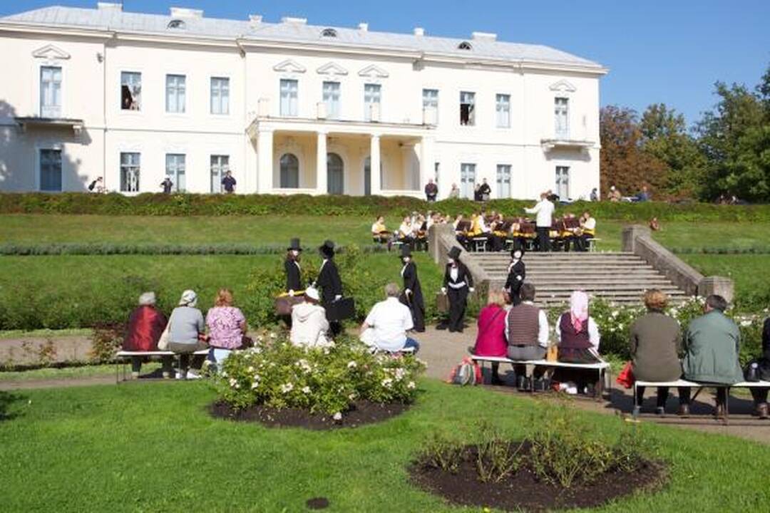 Palangos parke – pušų paieškos