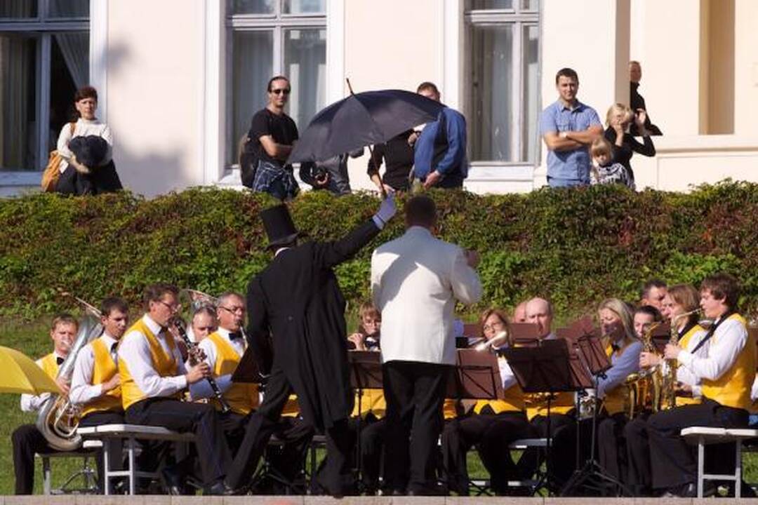 Palangos parke – pušų paieškos