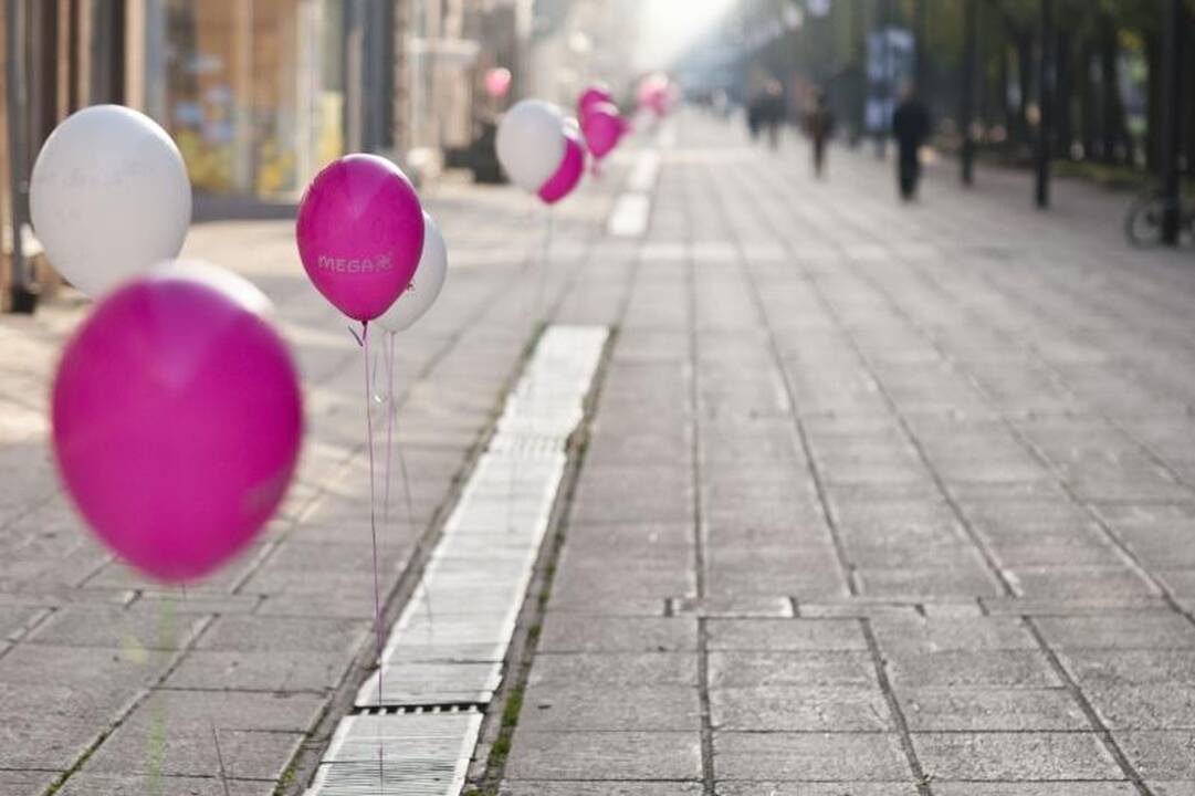 Laikinojoje sostinėje prasidėjo Jaunimo dienos