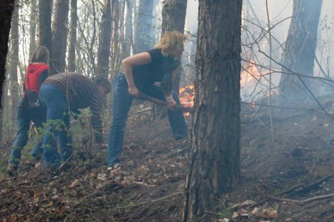 Gaisrą Žvėryno miške gesino ir patys gyventojai