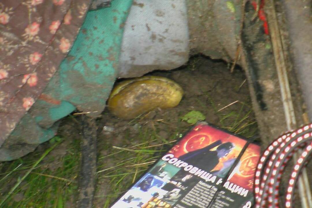 Greitkelyje Klaipėdos rajone apvirto vilkikas 