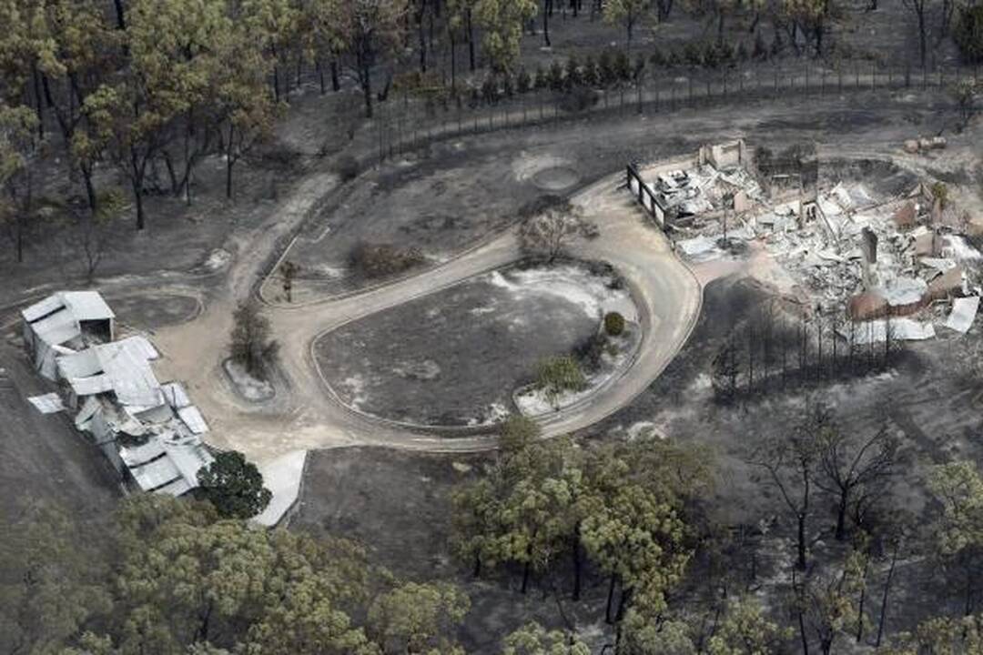 Gaisrų aukų Australijoje gali būti daugiau nei 200