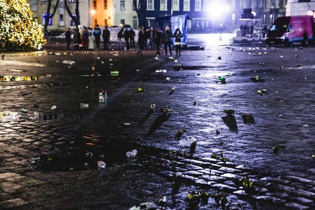 Naujametė naktis ir policijai, ir medikams buvo itin intensyvi
