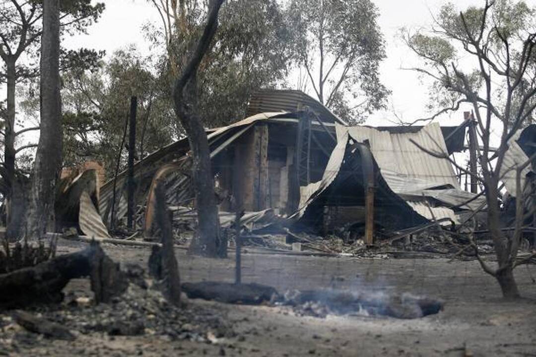 Gaisrų aukų Australijoje gali būti daugiau nei 200