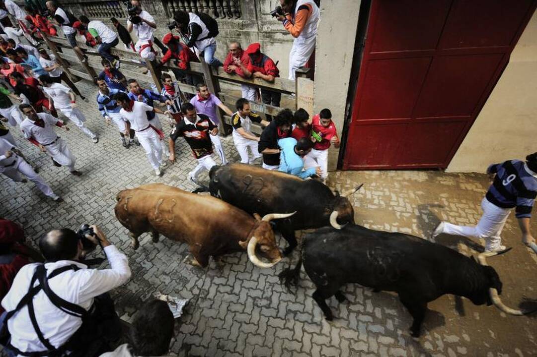 Pamplonoje per paskutines šių metų bėgtynes nukentėjo trys žmonės