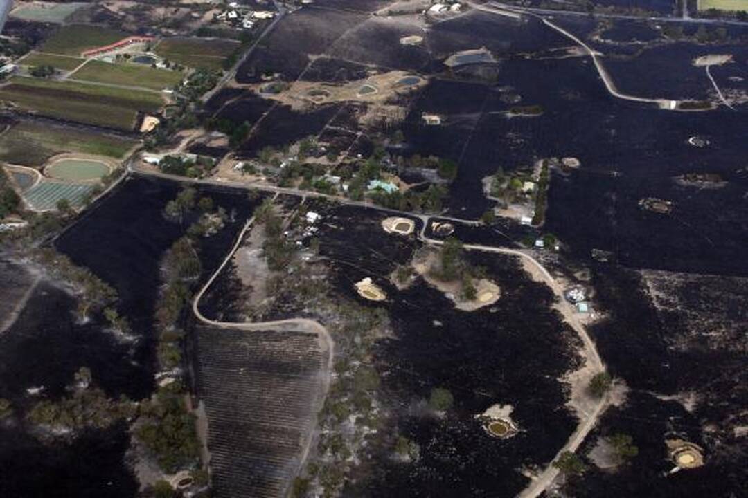 Gaisrų aukų Australijoje gali būti daugiau nei 200
