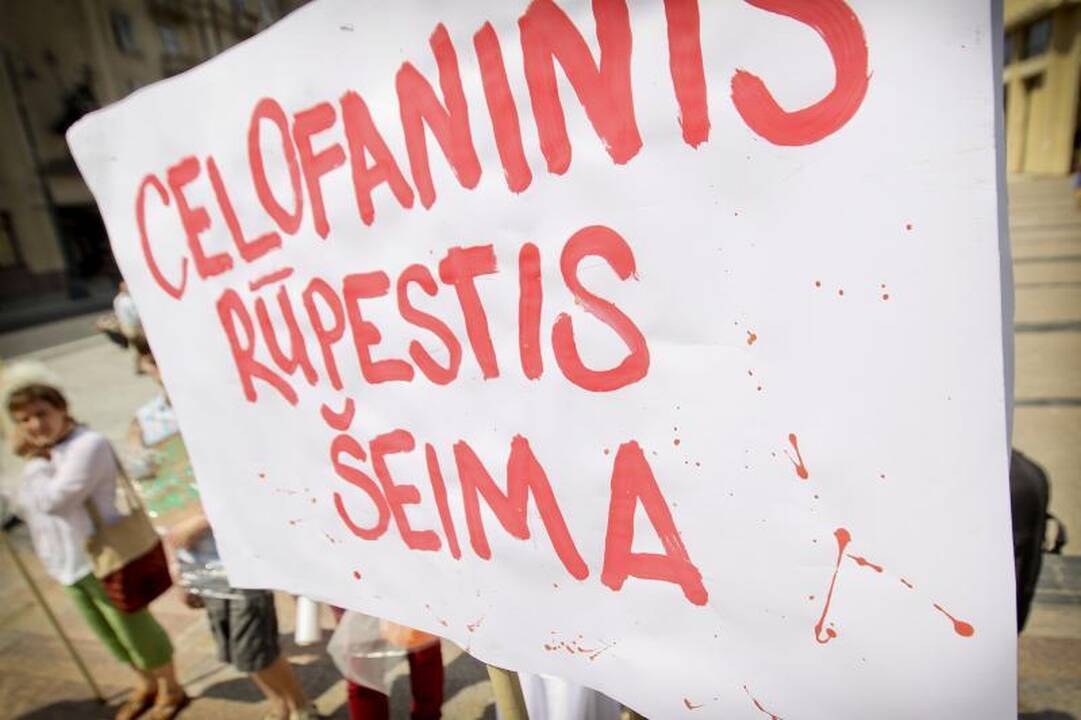Žmogaus teisių aktyvistai: šalin rankas nuo šeimos