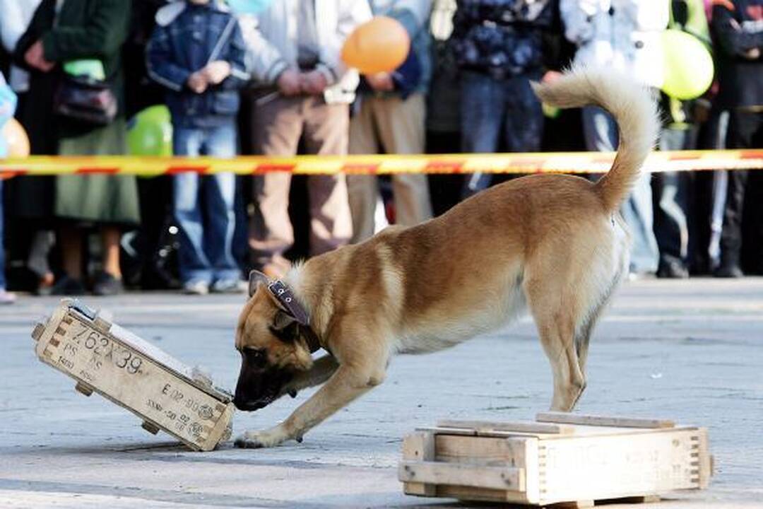 Policija kviečia gyventojus į Angelų sargų šventę