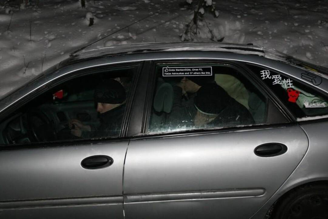 Važiuodamas automobilio tempiamomis rogėmis žuvo vaikinas
