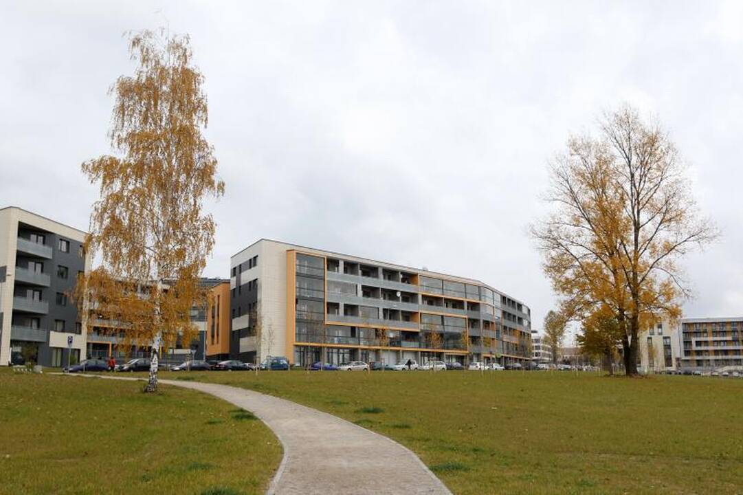 Naujasis Ozo parkas kol kas atrodo skurdokai
