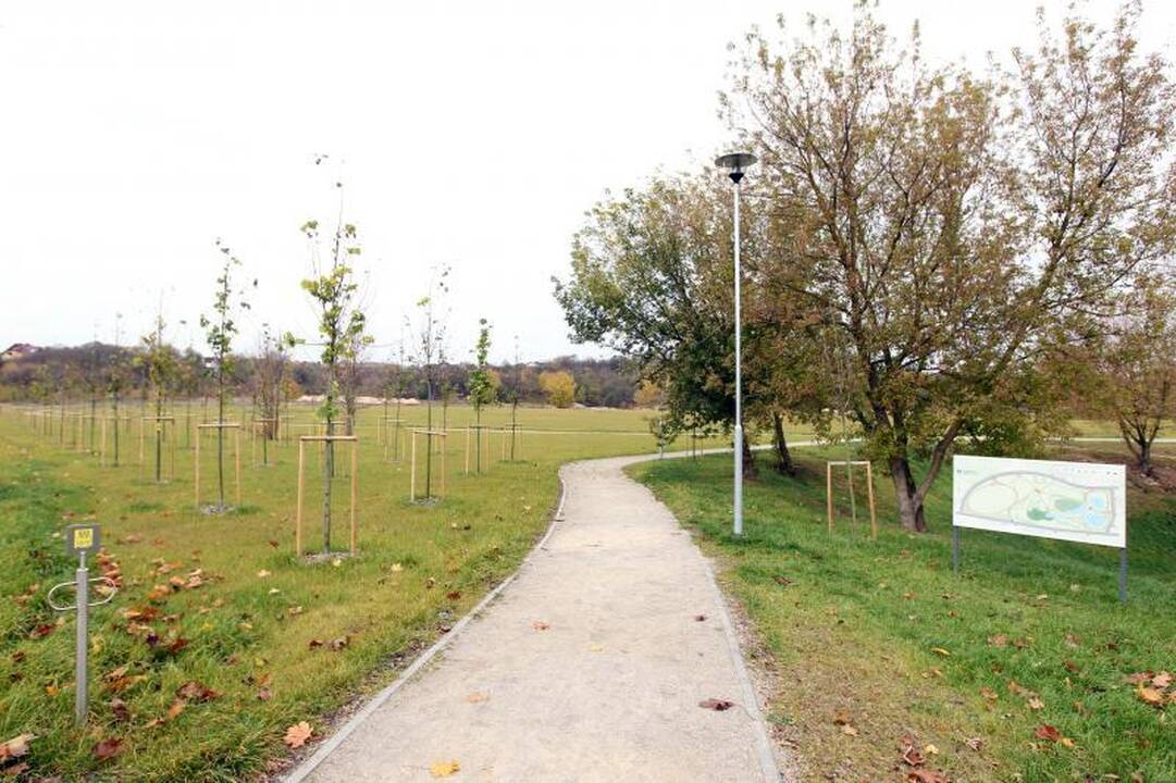 Naujasis Ozo parkas kol kas atrodo skurdokai
