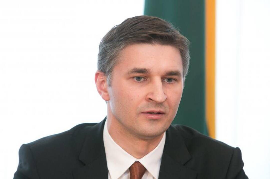 J. Neverovičius tikisi, kad EK nutrauks tyrimą prieš Lietuvą 