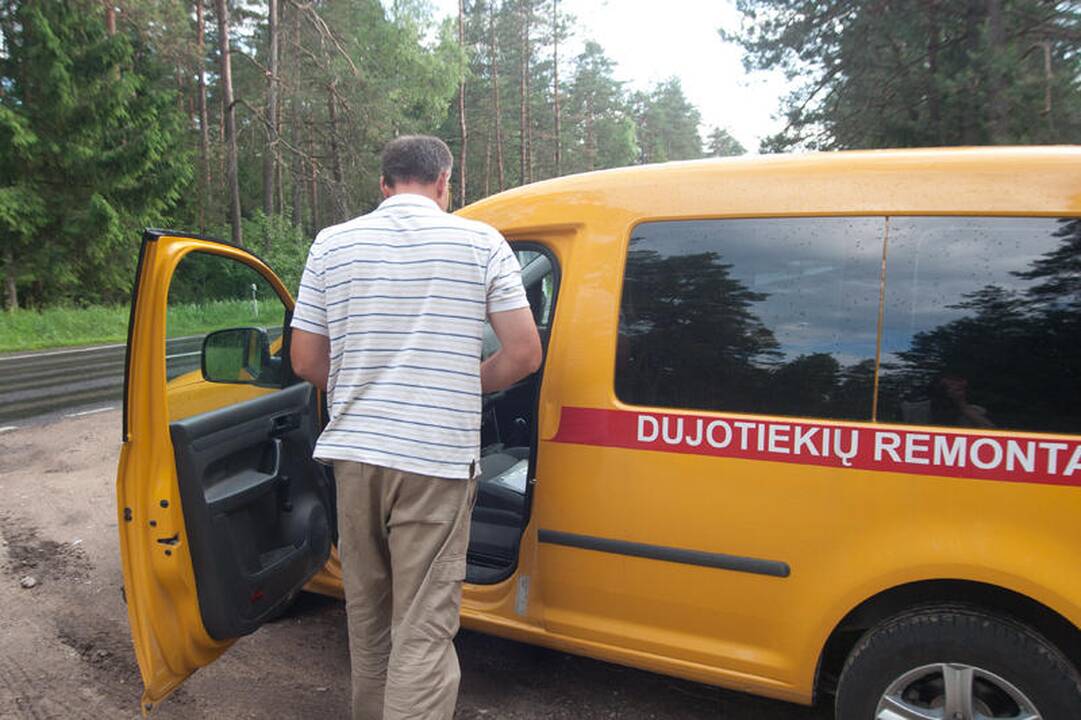 Vilniaus apylinkėse klaidžioja sužeistas briedis