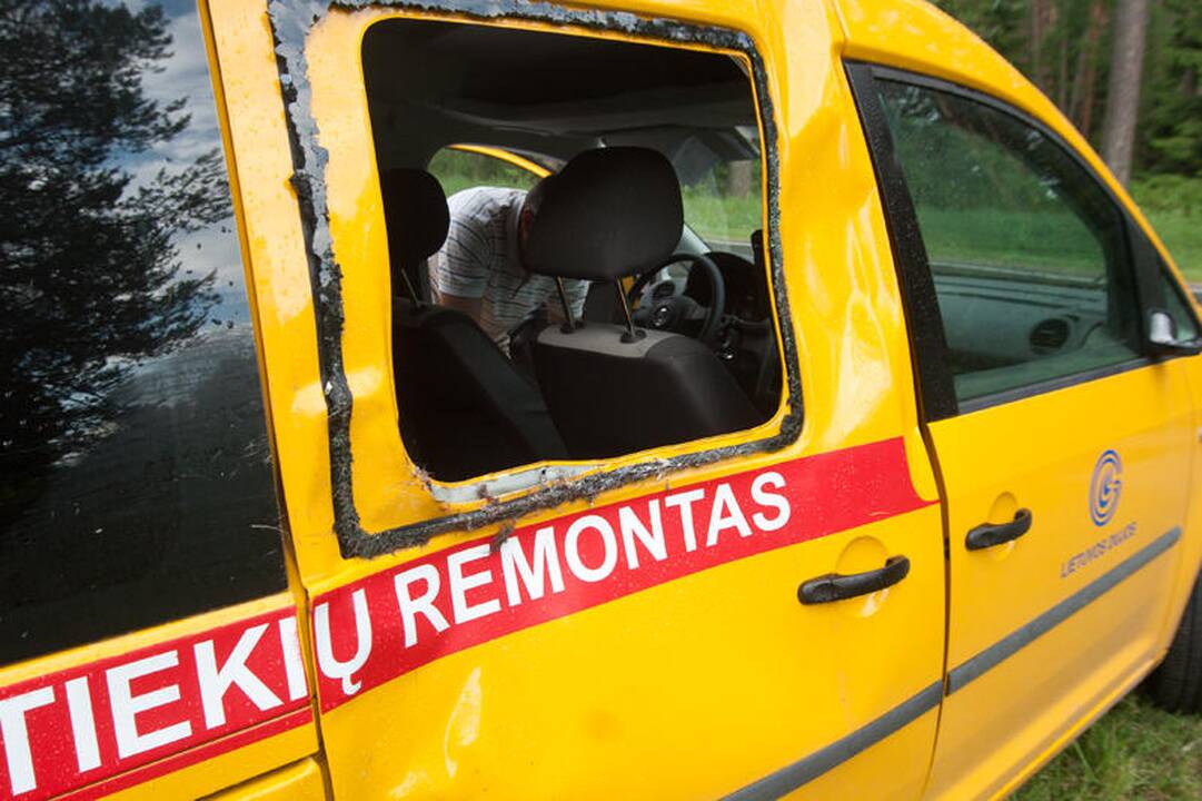 Vilniaus apylinkėse klaidžioja sužeistas briedis