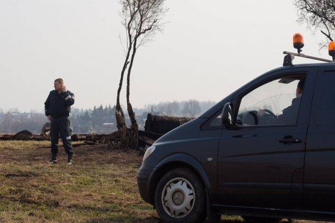 Vilniaus apylinkėse klaidžioja sužeistas briedis