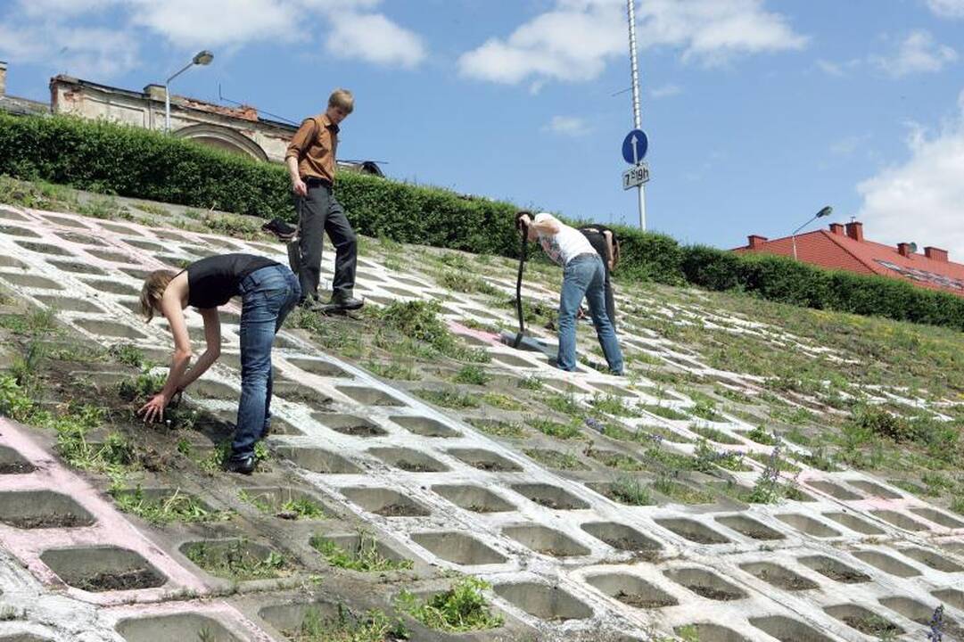 Žodis „Tiesos" atsirado Nemuno krantinėje, Ąžuolyne, prie savivaldybės