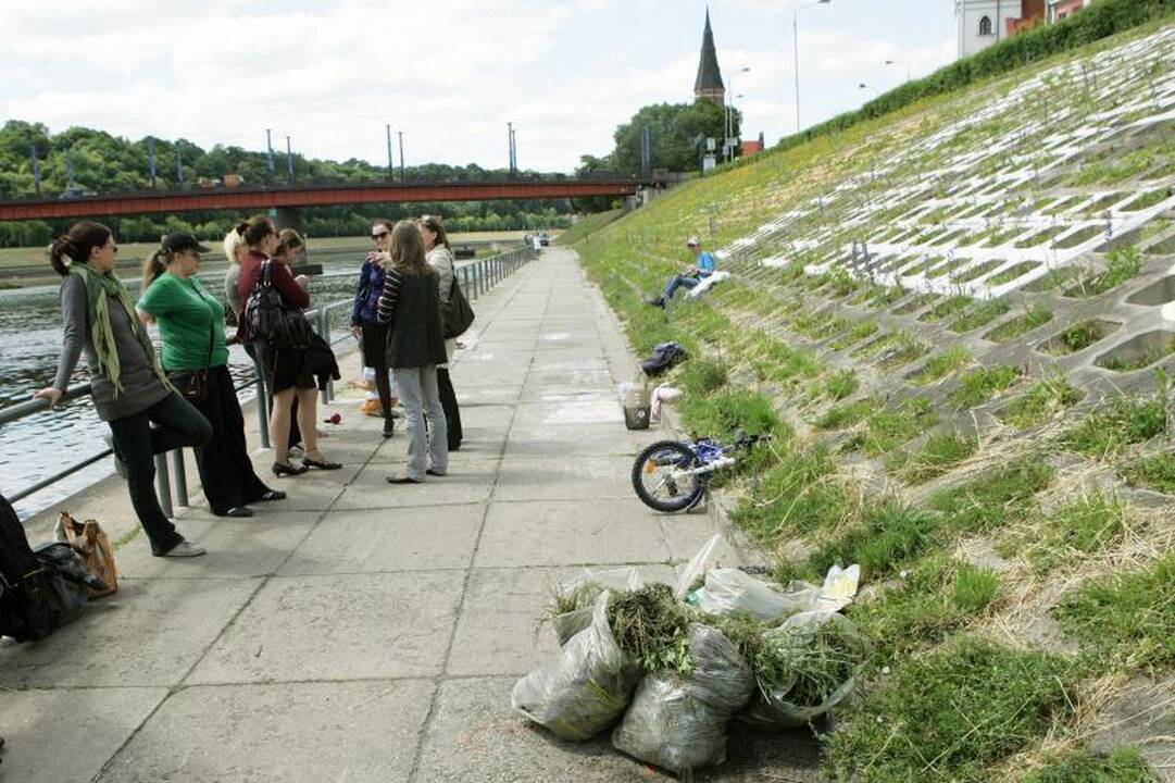 Žodis „Tiesos" atsirado Nemuno krantinėje, Ąžuolyne, prie savivaldybės