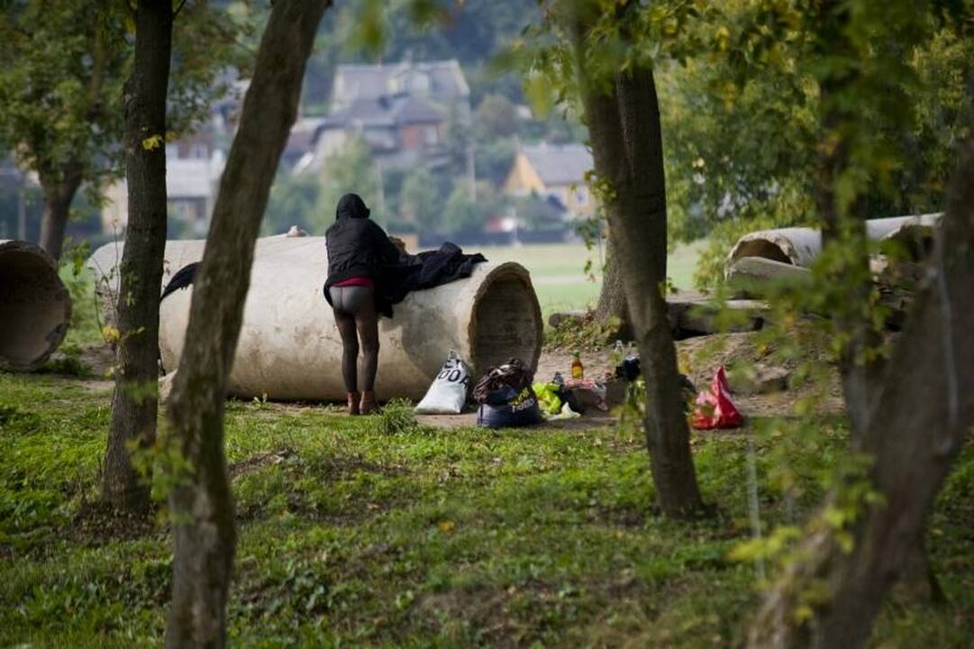 Į Nemuno salą sugrįžo nakvynės namus išpeikę buvę kaliniai 