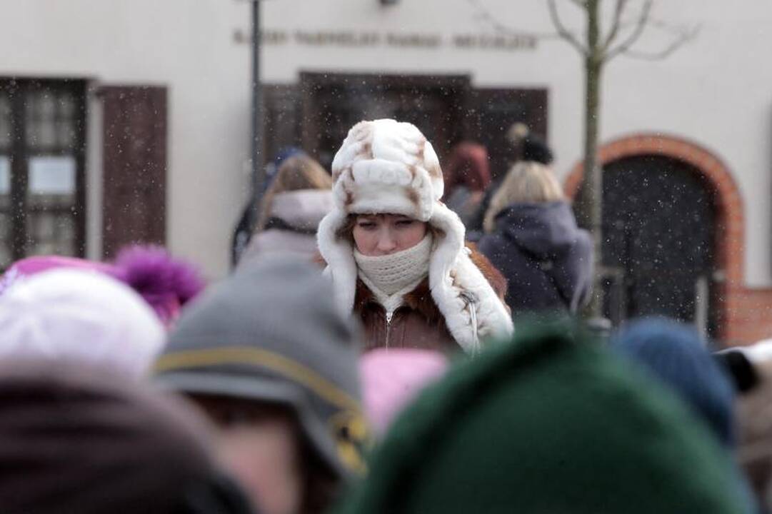 Žemės dienai  paminėti – šventė Rotušėje
