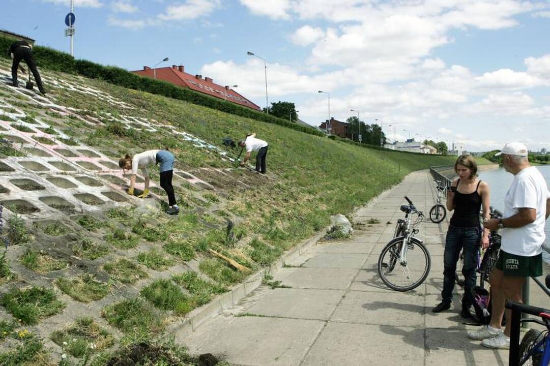Žodis „Tiesos" atsirado Nemuno krantinėje, Ąžuolyne, prie savivaldybės