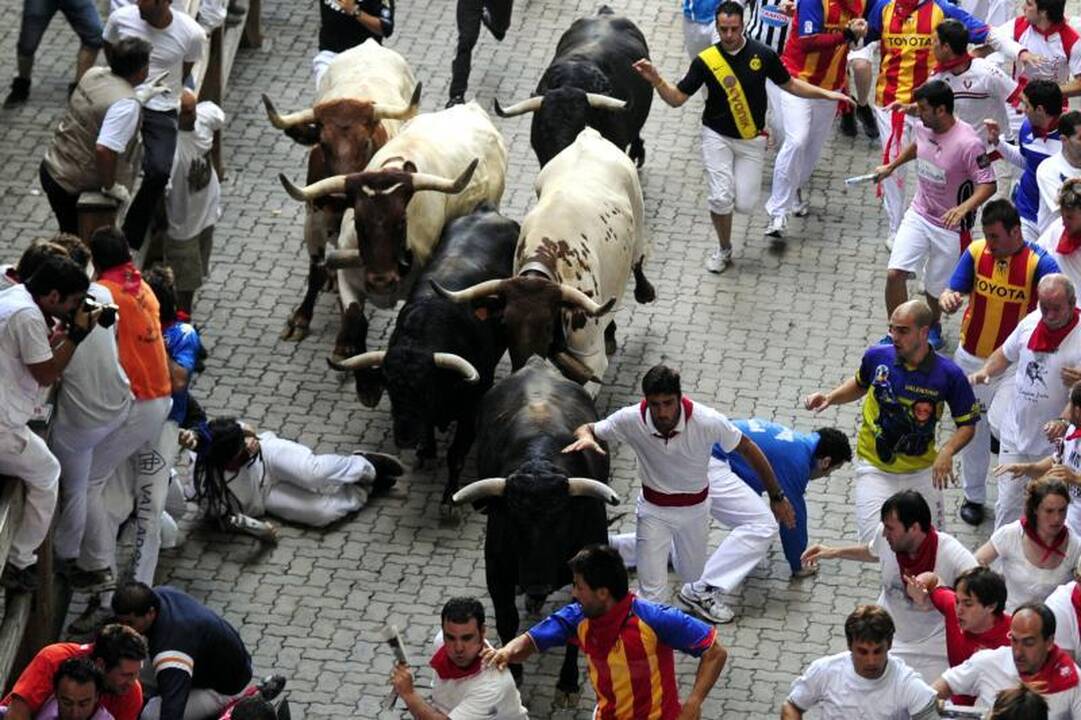 Pamplona: antrąją bulių bėgimo dieną subadytas australas 