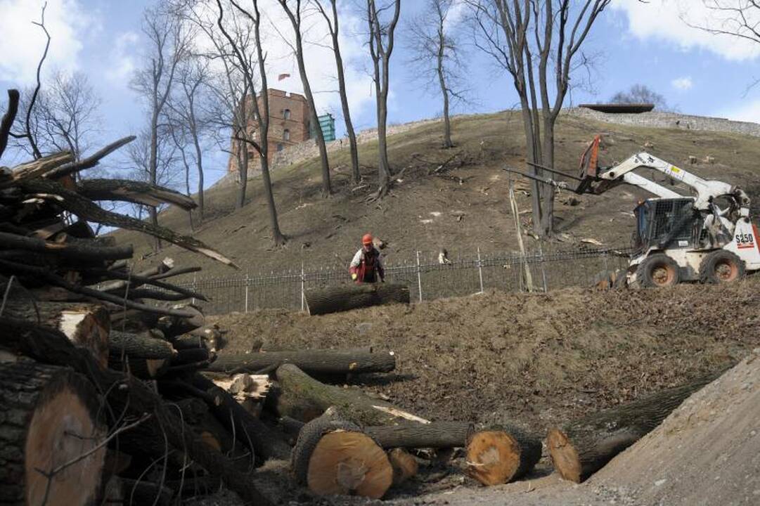Ant Gedimino kalno darbuojasi medkirčiai