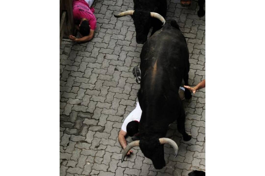 Pamplona: antrąją bulių bėgimo dieną subadytas australas 