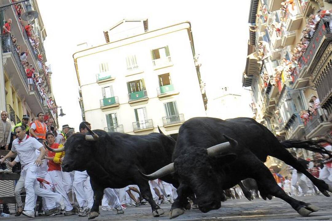 Pamplona: antrąją bulių bėgimo dieną subadytas australas 