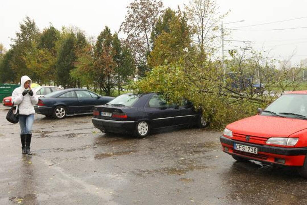 Pirmojo sniego ir vėjo išdaigos: nuvirtę medžiai, išdaužyti stiklai (papildyta)