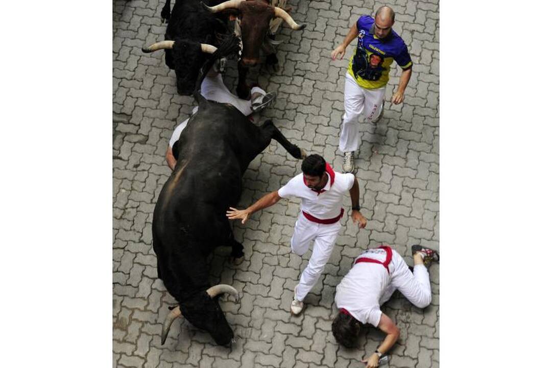 Pamplona: antrąją bulių bėgimo dieną subadytas australas 