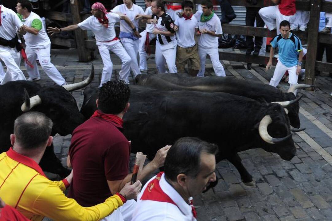 Pamplona: antrąją bulių bėgimo dieną subadytas australas 