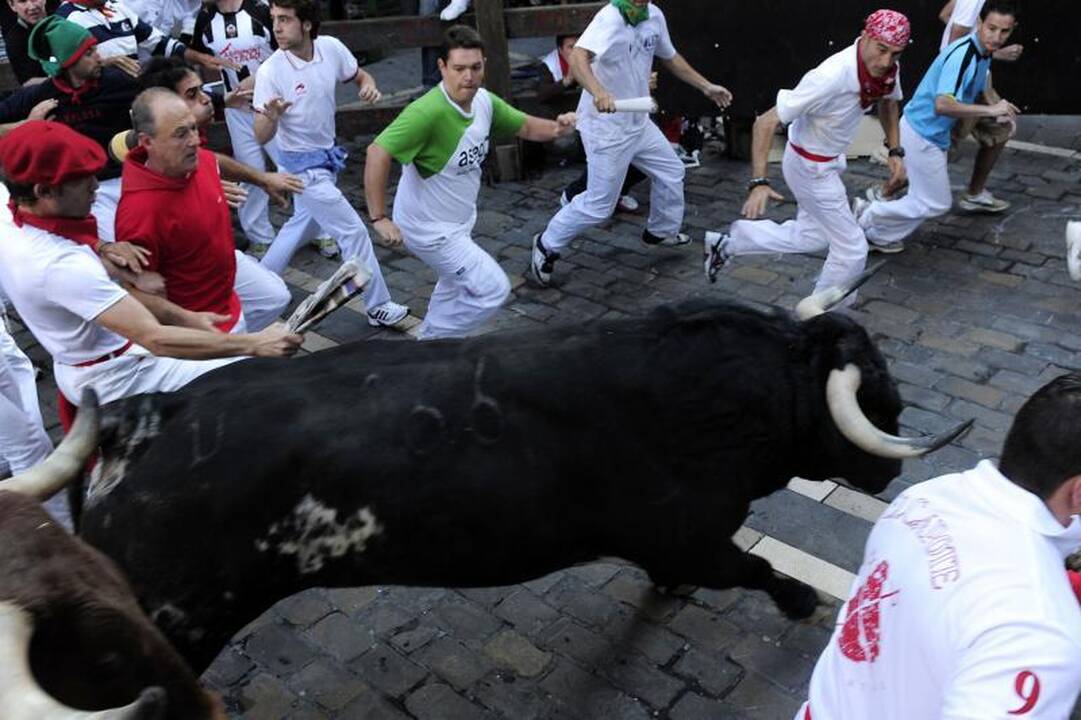 Pamplona: antrąją bulių bėgimo dieną subadytas australas 