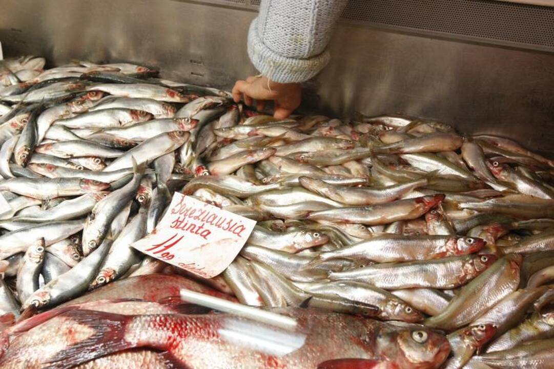 Klaipėdos turgavietėse prekybą pagyvino stintos 