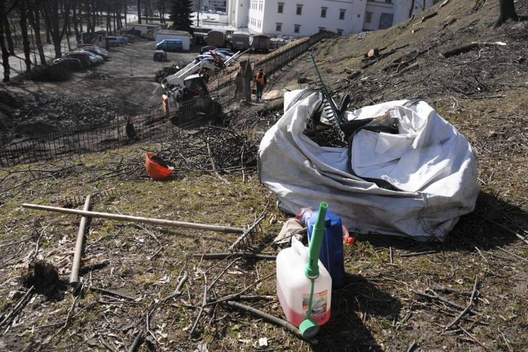 Ant Gedimino kalno darbuojasi medkirčiai