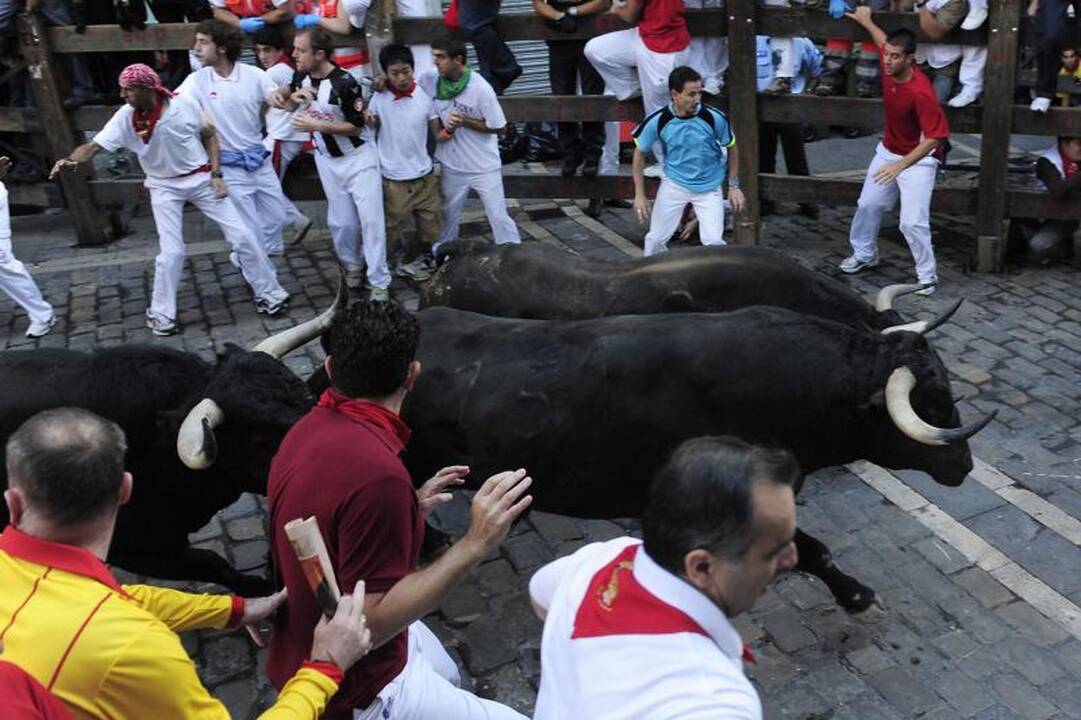 Pamplona: antrąją bulių bėgimo dieną subadytas australas 