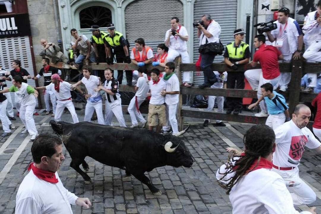 Pamplona: antrąją bulių bėgimo dieną subadytas australas 