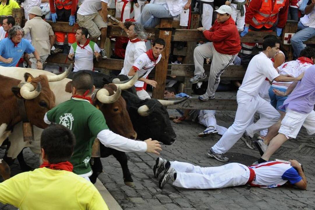 Pamplona: antrąją bulių bėgimo dieną subadytas australas 