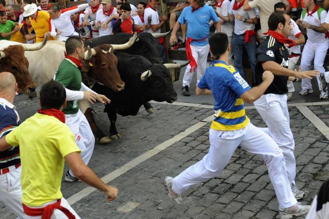 Pamplona: antrąją bulių bėgimo dieną subadytas australas 