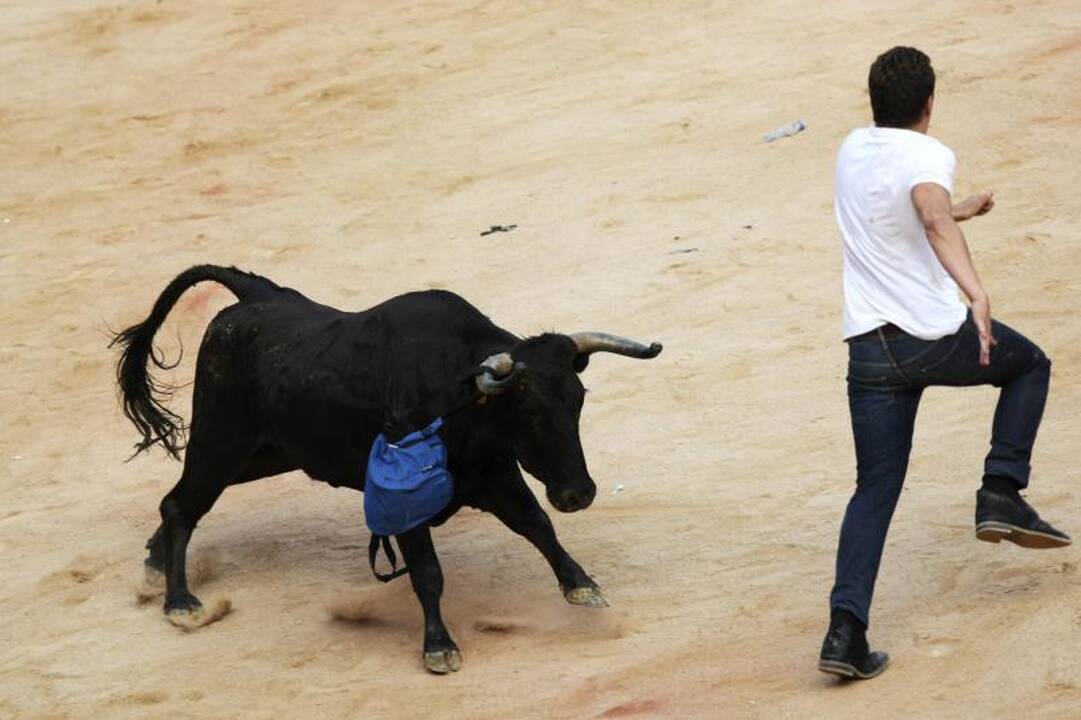 Pamplona: antrąją bulių bėgimo dieną subadytas australas 