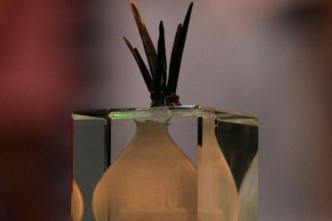 Jubiliejinį "Auksinį svogūną" atsiėmė ir jo "tėvas" A.Valinskas