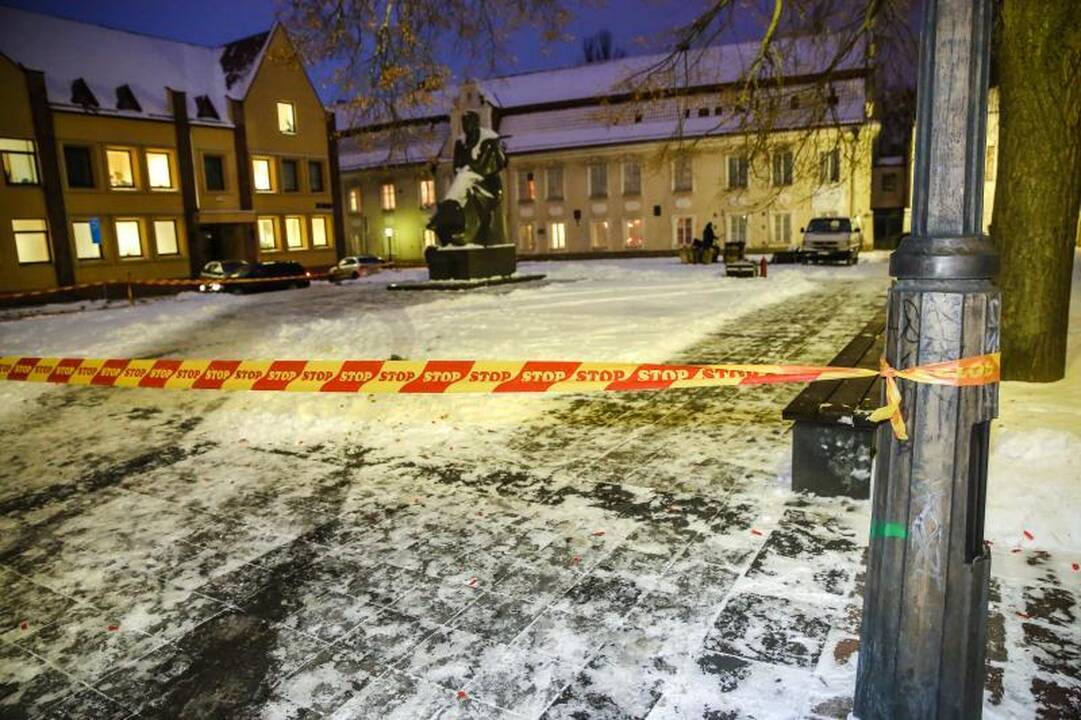 Ištekėjusiai Dž. Butkutei palinkėjo susilaukti 12 vaikų