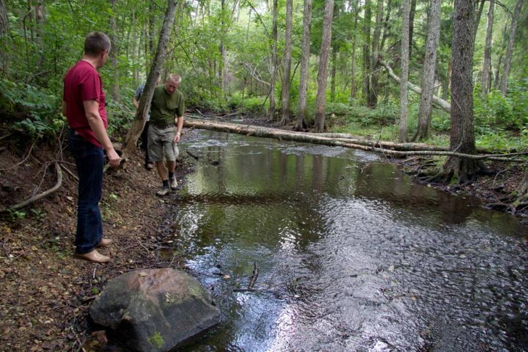 Kelionė po Aukštaitijos perlą - Sartų regioninį parką