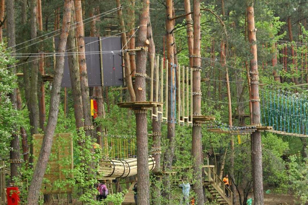 Lampėdžiuose galima išbandyti „drambliaskrydį“