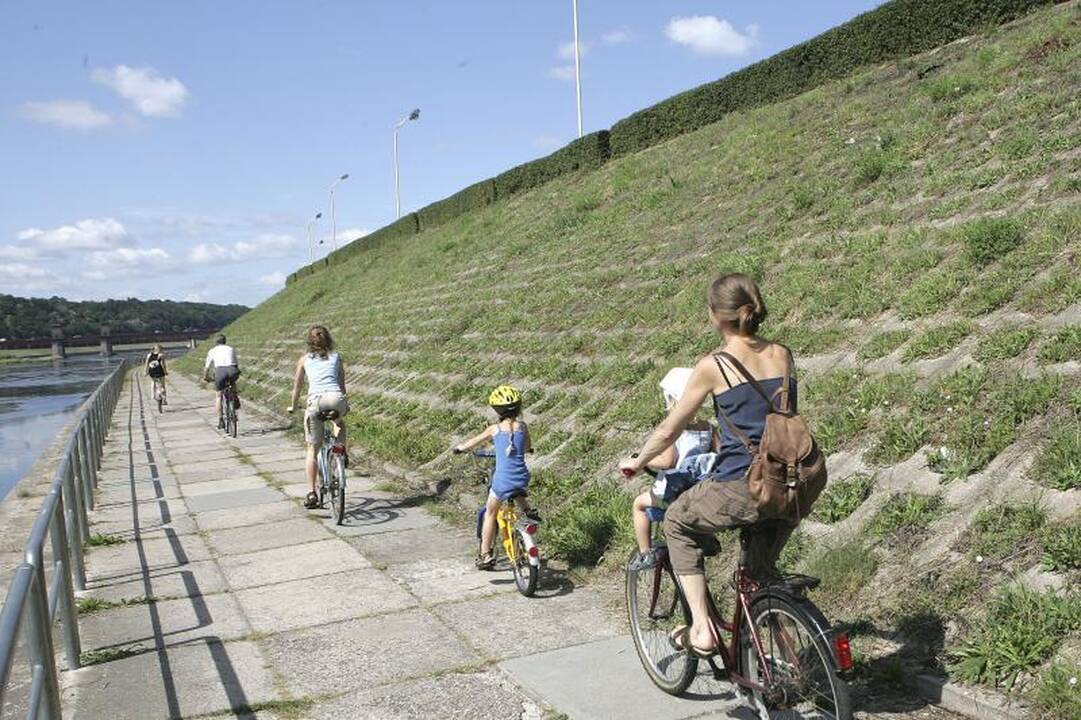 Kaip atrodo Nemuno krantinių pievos?