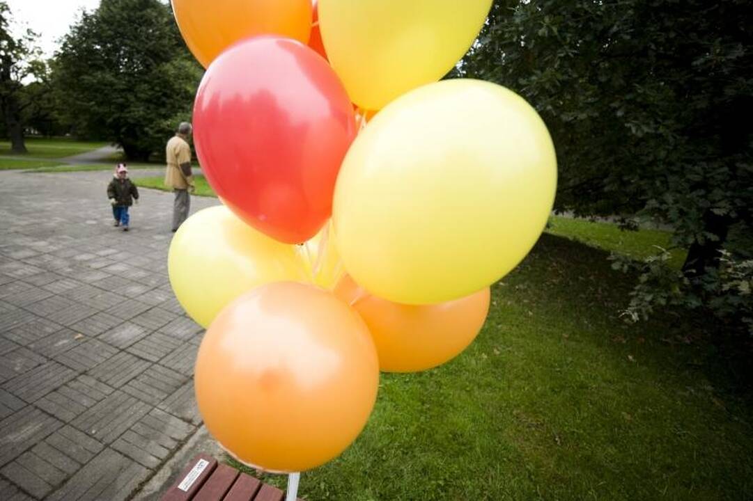 Mažajame ąžuolyne įsimylėjėliai burkuos ant naujų suoliukų 