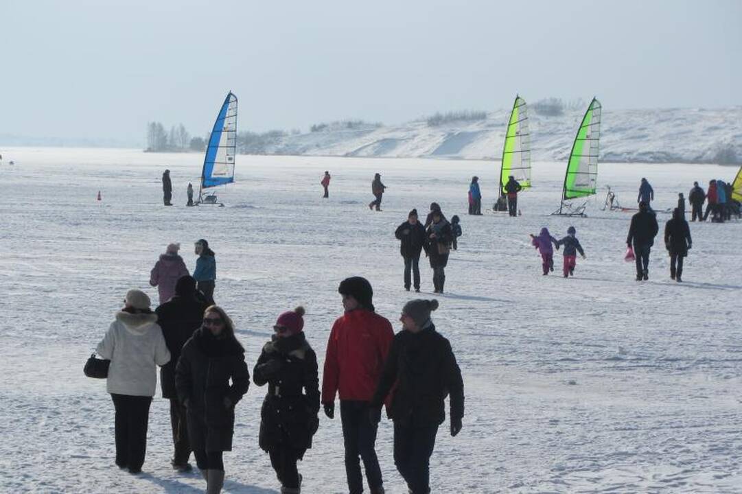 Nidoje šeštadienį – stintų bumbintojų džiaugsmai