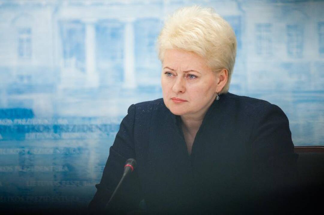 Prezidentė siūlys uždrausti verslo įmonėms finansuoti partijas
