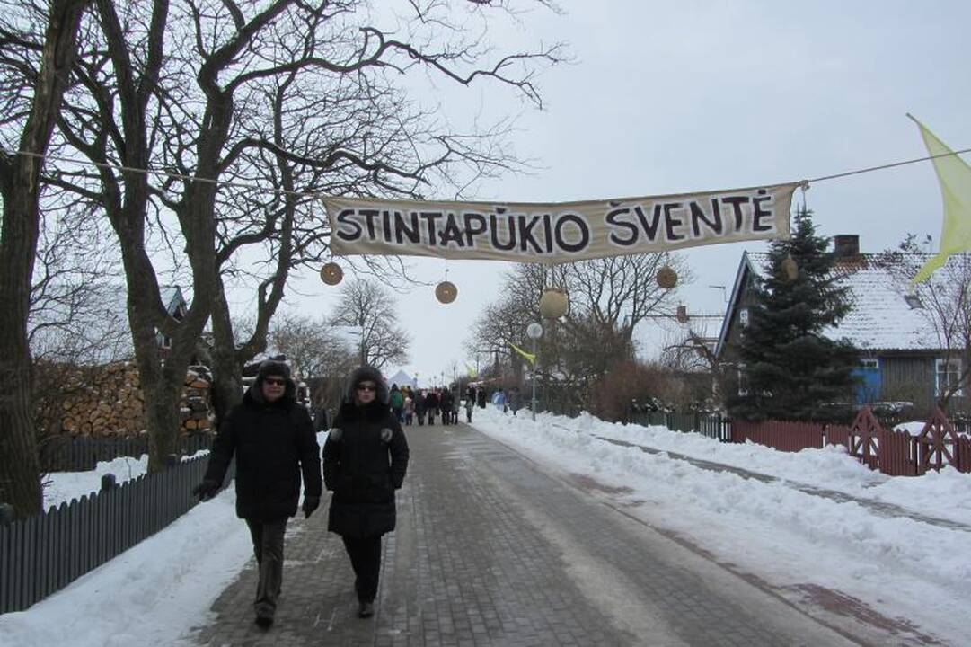 Nidoje šeštadienį – stintų bumbintojų džiaugsmai