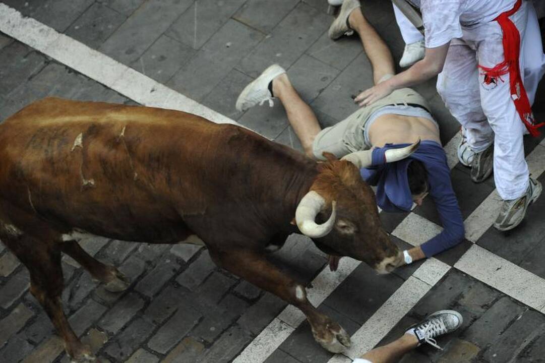 Pamplona: antrąją bulių bėgimo dieną subadytas australas 